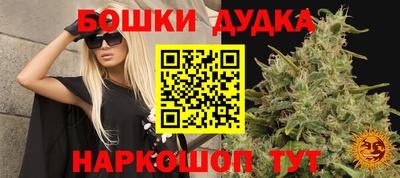 apvp Аргун