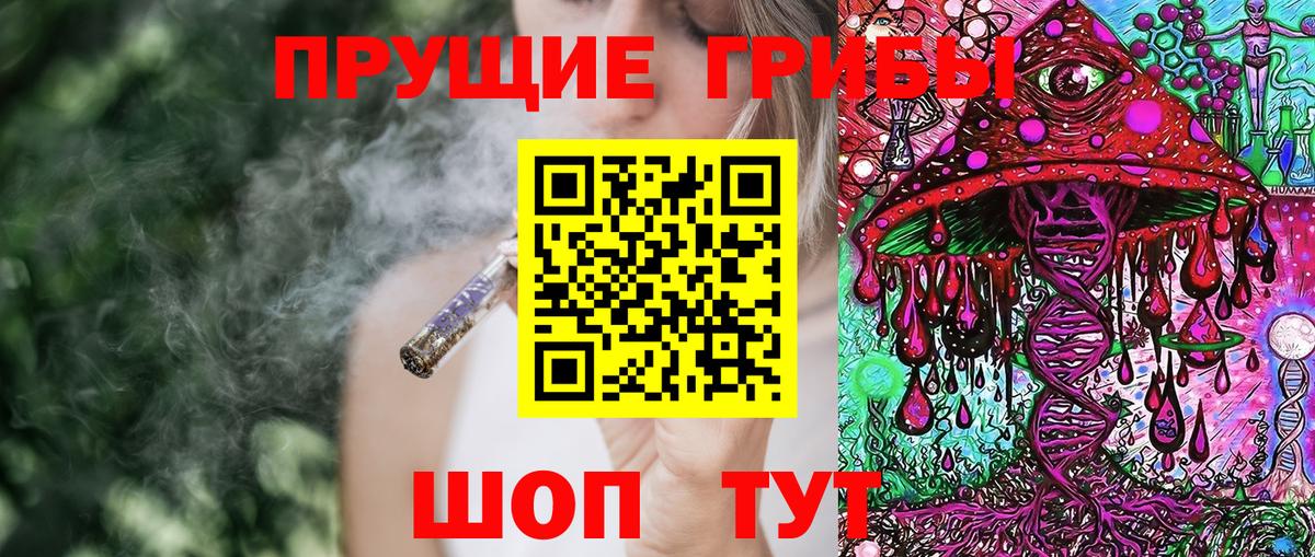 Псилоцибиновые грибы Psilocybine cubensis Балахна